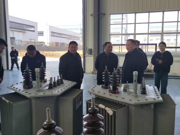 市输变电装备及电线电缆产业链领导调研英大电力装备有限公司