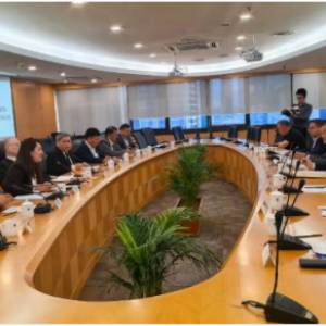 出海拓新局 赋能国际化 英大电力装